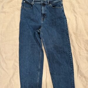 EVERLANE "The Way-High" Straight Leg Jeans 31